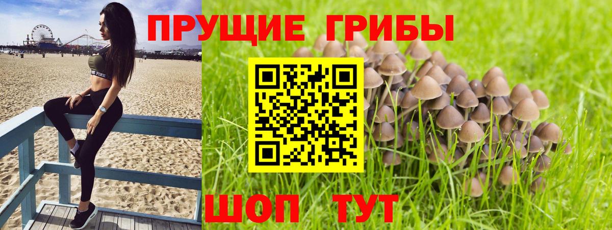 Галлюциногенные грибы GOLDEN TEACHER Армавир