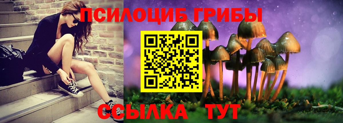 Галлюциногенные грибы мухоморы  Галлюциногенные грибы Magic Shrooms  даркнет сайт  Вход с VPN  Армавир 